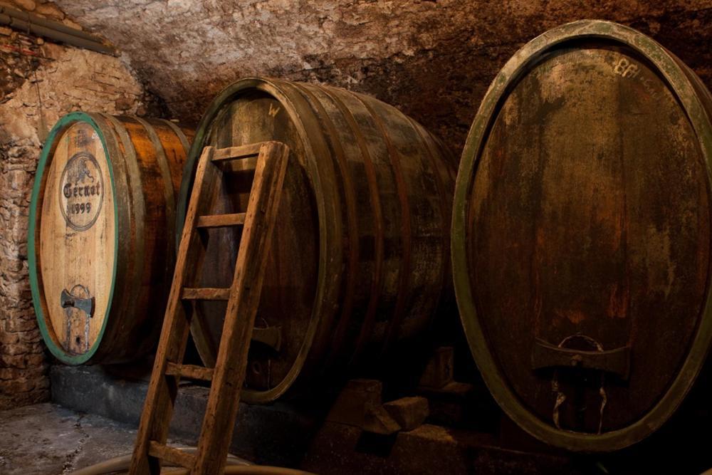 Wohnatelier Im Bioweingut